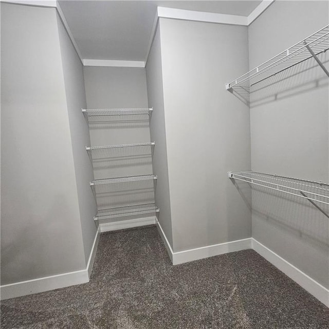 6093 Wayarer Dr, Villa Rica, GA 30180 - walk in closet featuring carpet