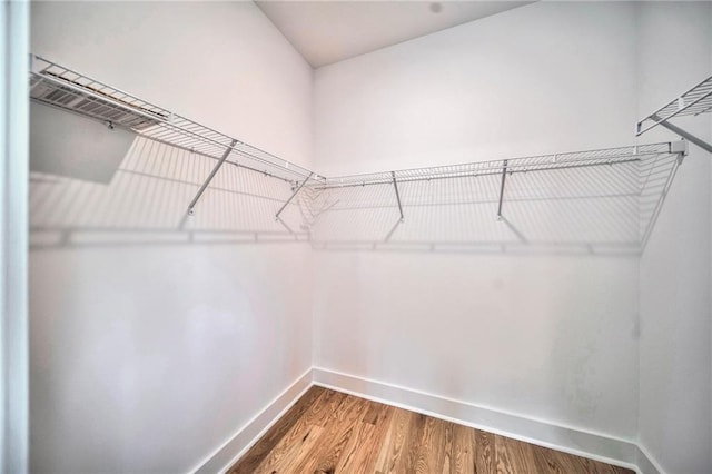 spacious closet with wood-type flooring