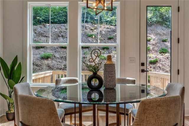 dining room with wood-type flooring