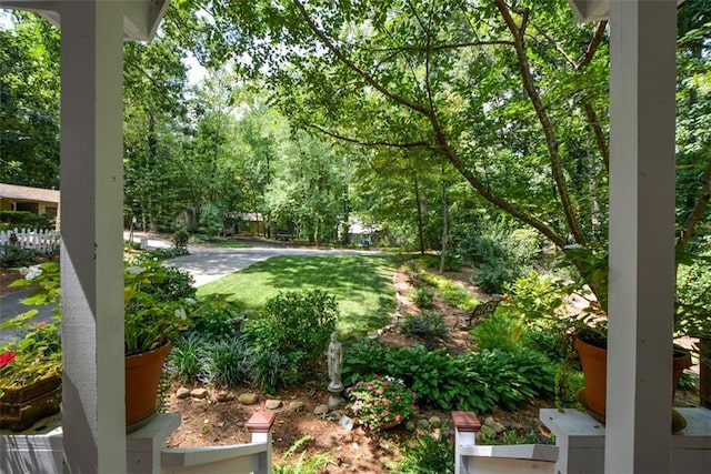 view of yard with a patio area