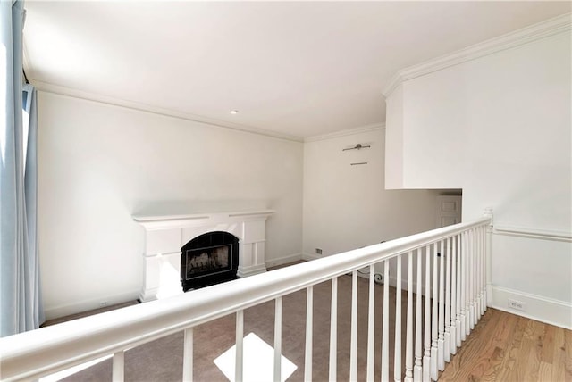 interior space with wood finished floors, baseboards, and ornamental molding