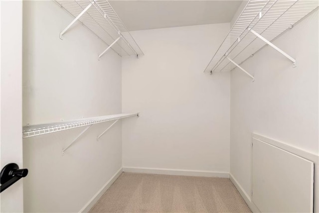 spacious closet featuring light carpet