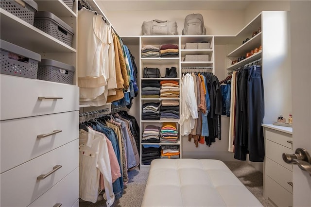 spacious closet with carpet flooring