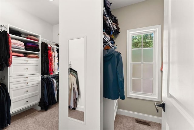 spacious closet featuring light colored carpet