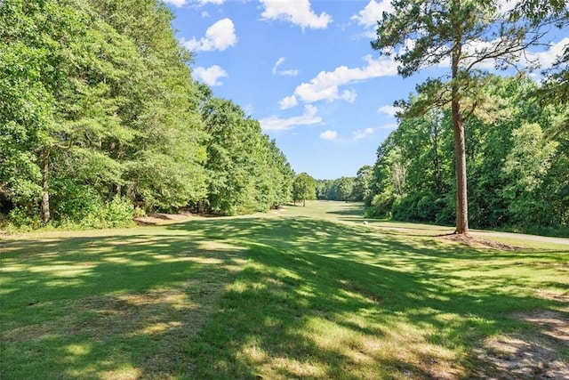 view of home's community with a lawn