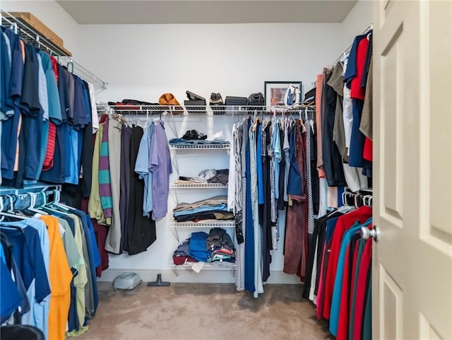 11 Stillwater Way, Hoschton, GA 30548 - walk in closet featuring carpet floors