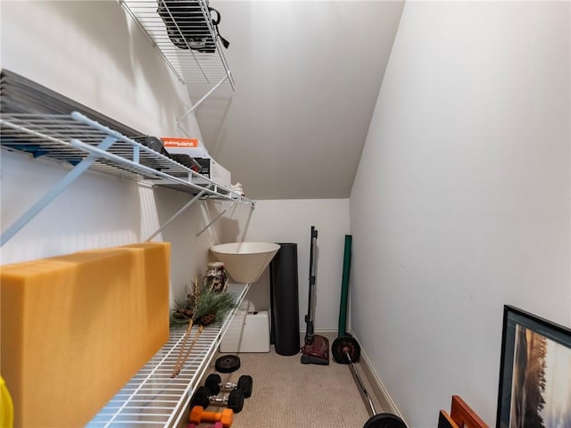 11 Stillwater Way, Hoschton, GA 30548 - spacious closet with carpet flooring