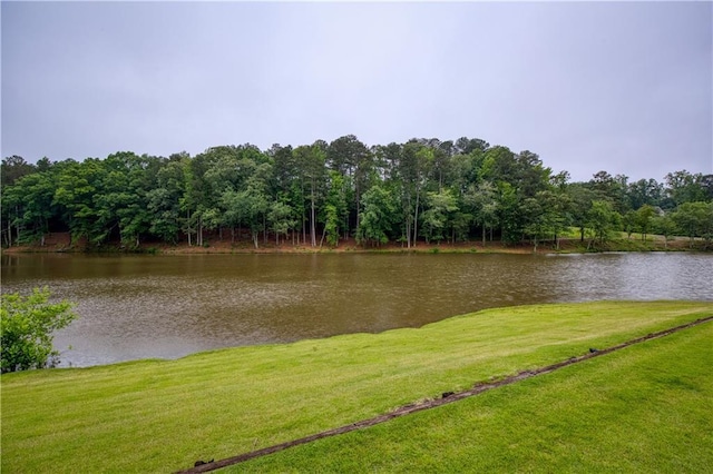 2675 Portabella Ln, Cumming, GA 30041 - water view