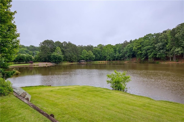 2675 Portabella Ln, Cumming, GA 30041 - water view featuring a forest