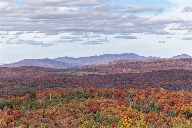 view of mountain feature