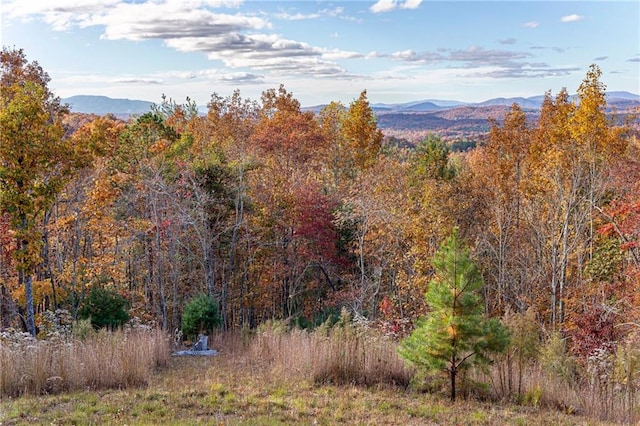 view of mountain feature