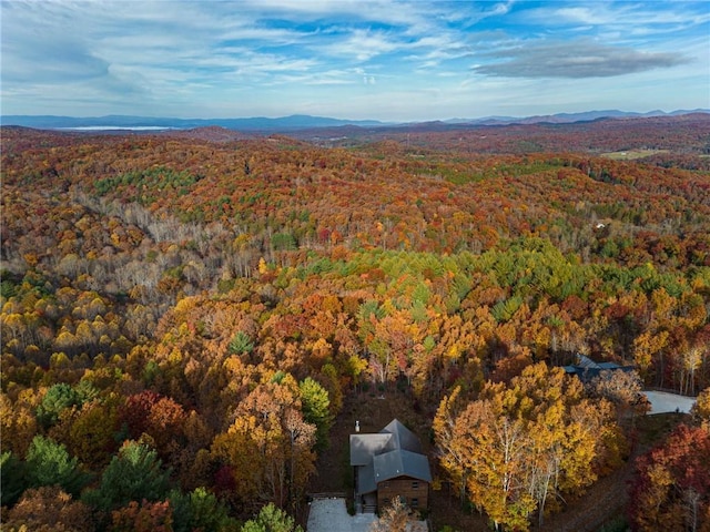 view of drone / aerial view