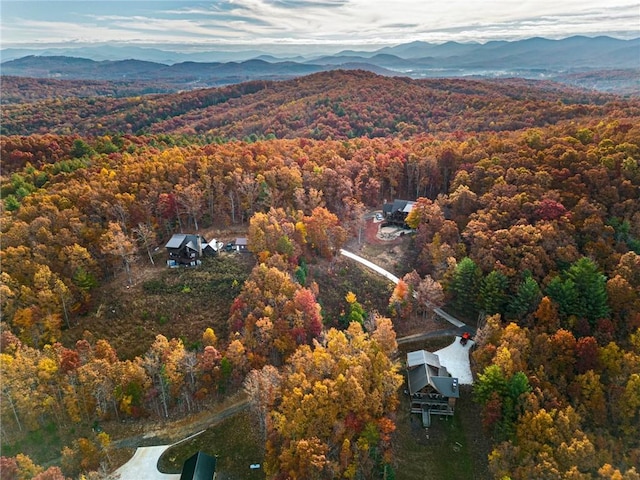 drone / aerial view featuring a mountain view