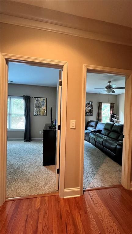 1175 Grassy Oat Ln, Lawrenceville, GA 30045 - hall with wood finished floors and carpet flooring