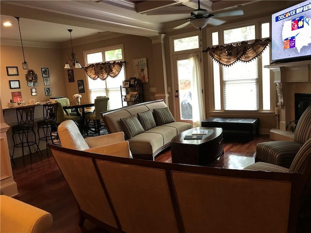 1175 Grassy Oat Ln, Lawrenceville, GA 30045 - living area with ornamental molding, ceiling fan, dark wood-style floors, plenty of natural light, and a fireplace with raised hearth