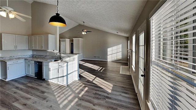 kitchen featuring visible vents, dark wood-type flooring, open floor plan, a sink, and a textured ceiling