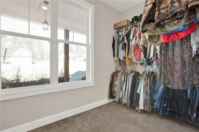 spacious closet with carpet