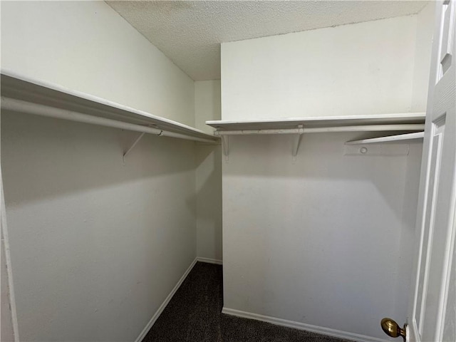 spacious closet featuring dark colored carpet