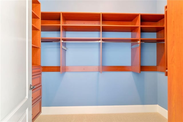 walk in closet featuring carpet flooring