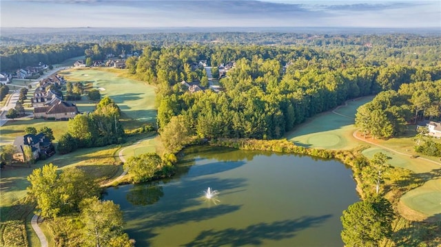 bird's eye view featuring a water view and a forest view