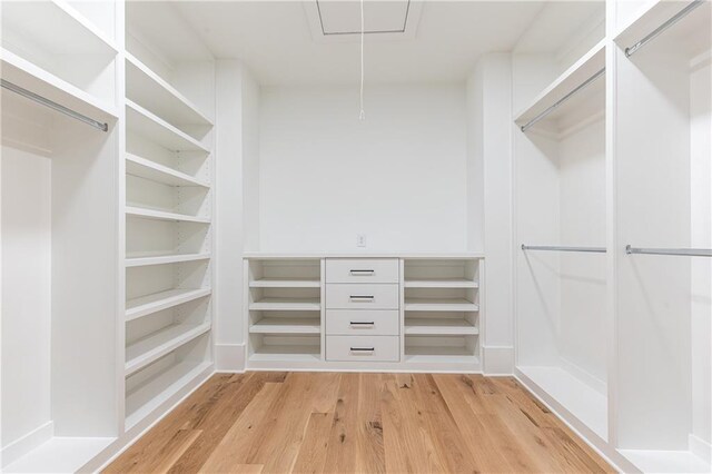 spacious closet with light wood-type flooring