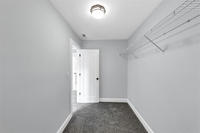 spacious closet with carpet flooring