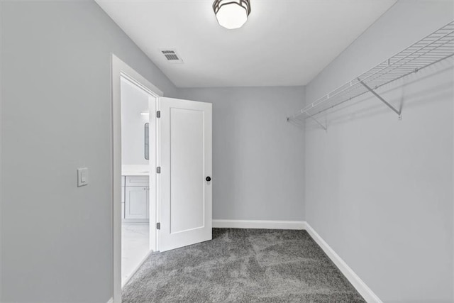 spacious closet with visible vents and carpet floors