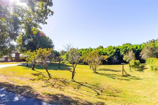 view of property's community featuring a yard