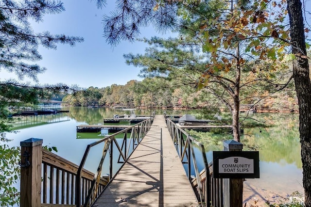 dock area with a water view