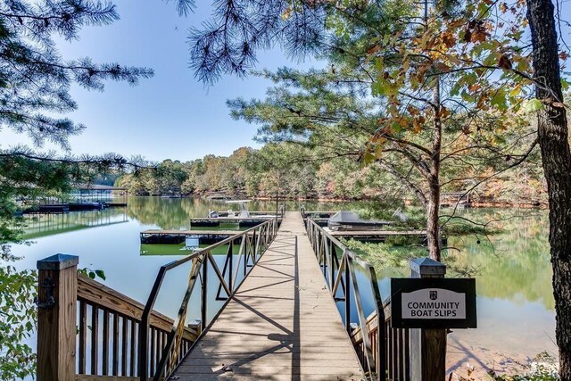 dock area with a water view