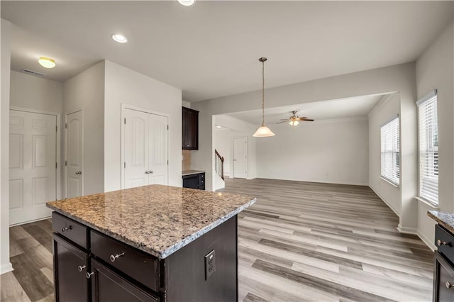 kitchen with light wood finished floors, open floor plan, and dark brown cabinets