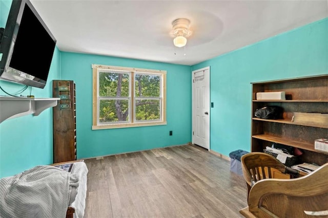 437 Crabapple Rd, Dahlonega, GA 30533 - office space featuring wood finished floors and a ceiling fan