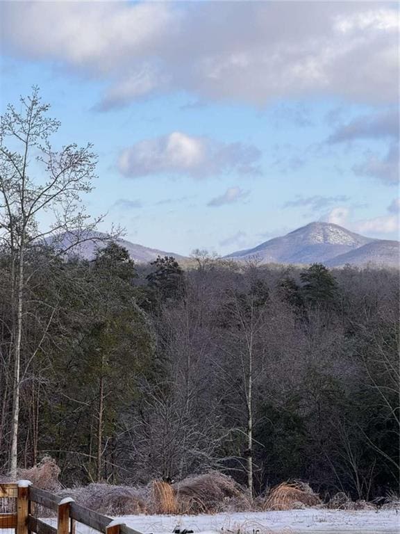 437 Crabapple Rd, Dahlonega, GA 30533 - view of mountain backdrop with a heavily wooded area