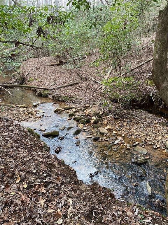 437 Crabapple Rd, Dahlonega, GA 30533 - view of nature