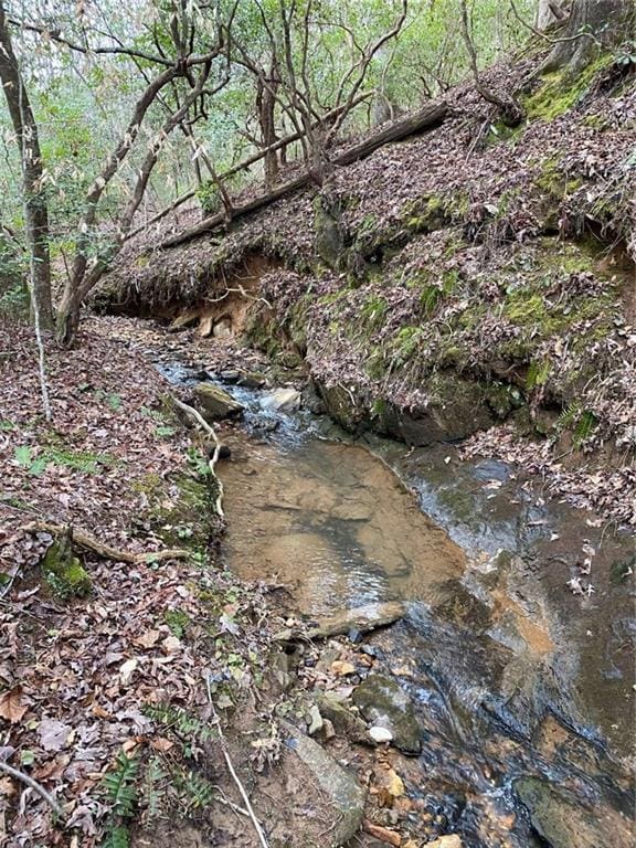437 Crabapple Rd, Dahlonega, GA 30533 - view of undeveloped land