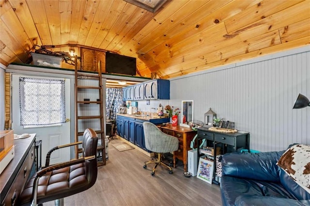 437 Crabapple Rd, Dahlonega, GA 30533 - office space with lofted ceiling, light wood finished floors, and wood ceiling