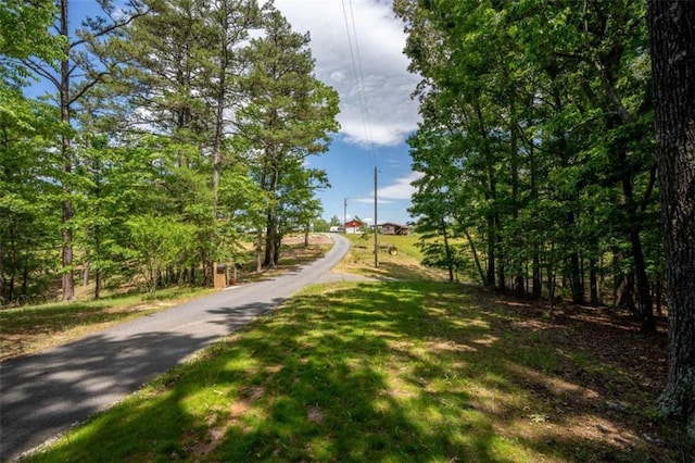 437 Crabapple Rd, Dahlonega, GA 30533 - view of property's community