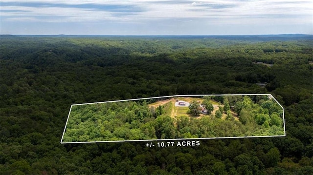 437 Crabapple Rd, Dahlonega, GA 30533 - view of property location with a forest and property boundaries highlighted