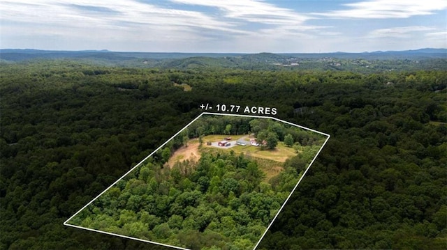 437 Crabapple Rd, Dahlonega, GA 30533 - aerial overview of property's location featuring property boundaries highlighted