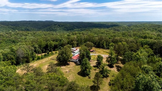 437 Crabapple Rd, Dahlonega, GA 30533 - view of subject property with a forest