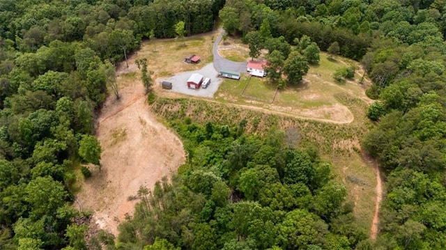 437 Crabapple Rd, Dahlonega, GA 30533 - view of property location featuring a forest