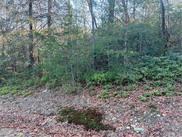 Listing photo 3 for LOT14 Frances Dr, Ellijay GA 30536