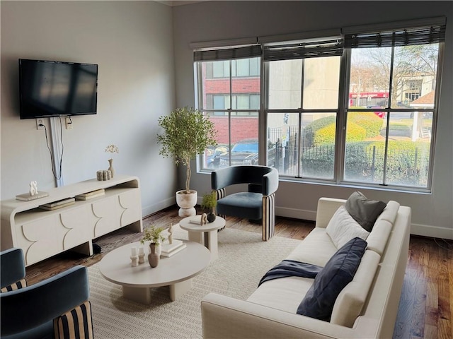 living area featuring plenty of natural light, baseboards, and wood finished floors