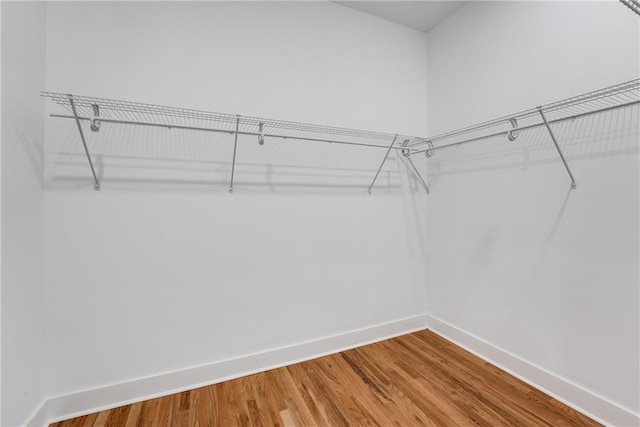 spacious closet featuring wood finished floors