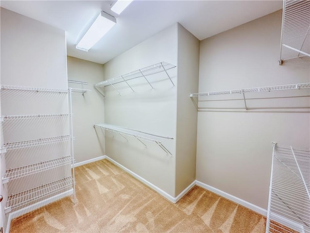 3780 Baxley Pine Trl, Suwanee, GA 30024 - walk in closet with carpet