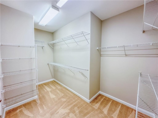 walk in closet featuring carpet