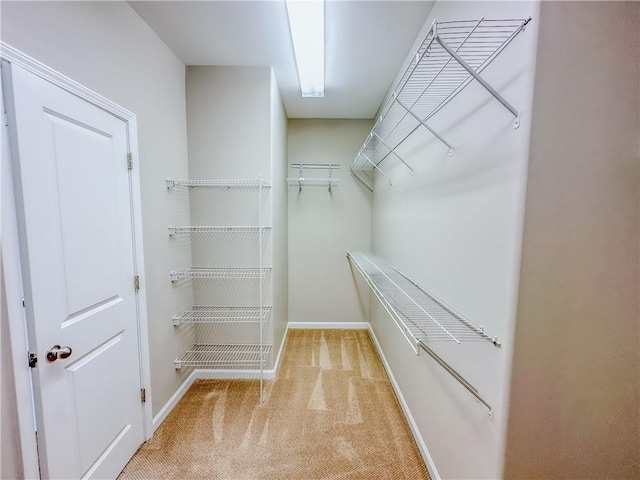 walk in closet featuring light carpet