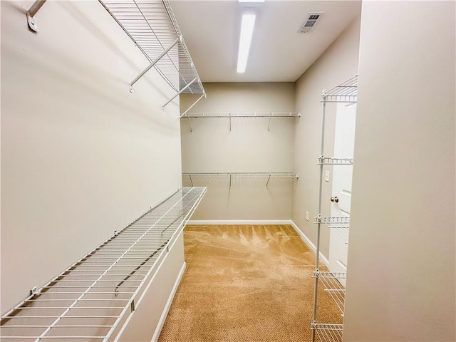 3780 Baxley Pine Trl, Suwanee, GA 30024 - walk in closet with carpet floors