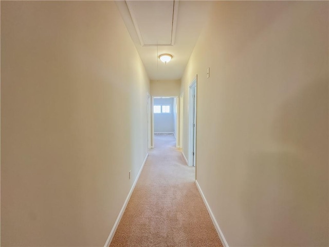 hallway with attic access, baseboards, and light carpet