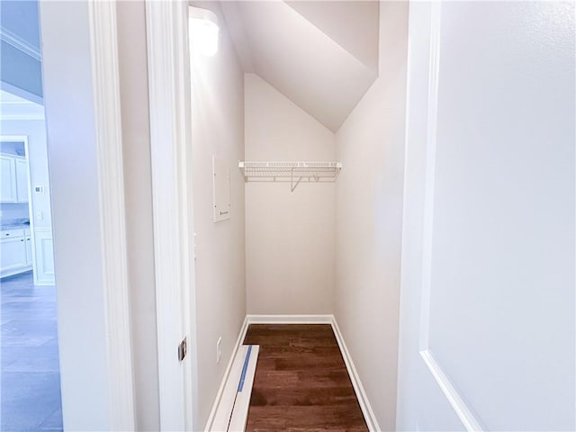 3780 Baxley Pine Trl, Suwanee, GA 30024 - walk in closet featuring vaulted ceiling and wood finished floors